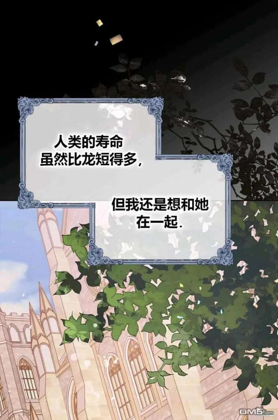 46.jpg