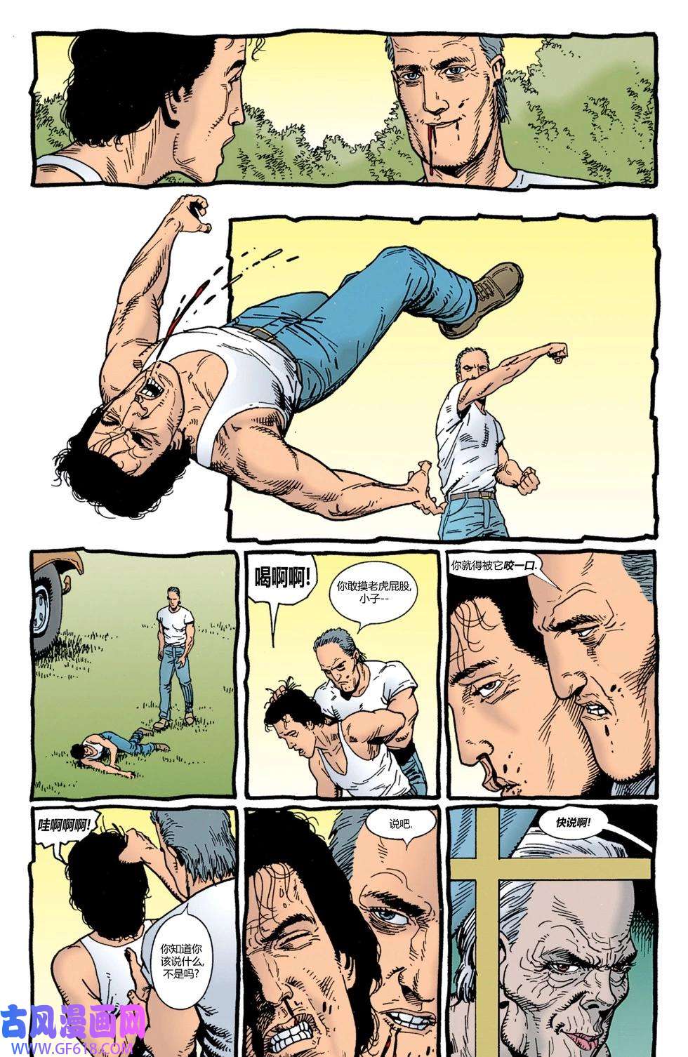 11.jpg