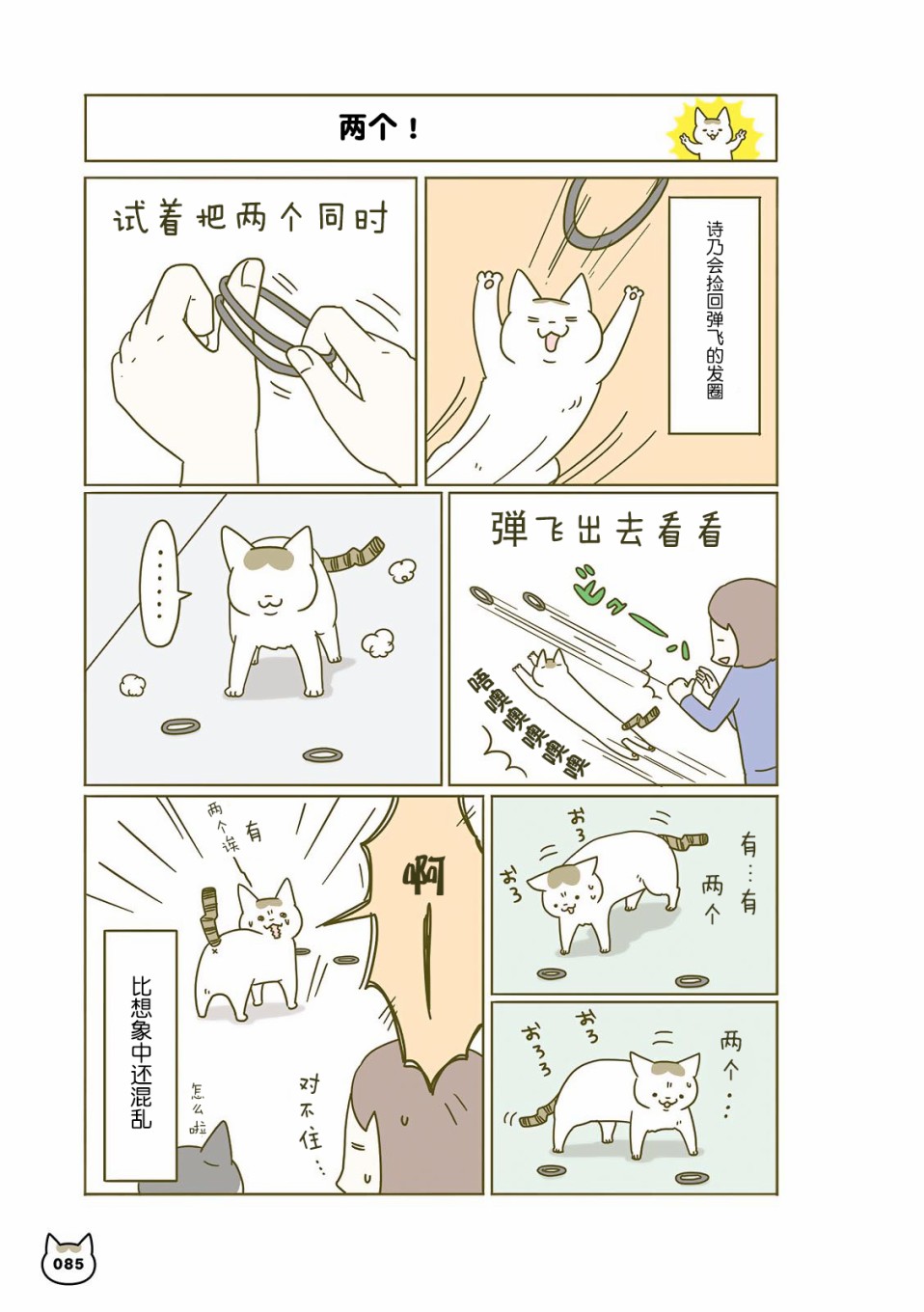 17.jpg