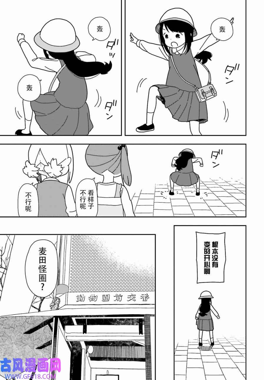 13.jpg