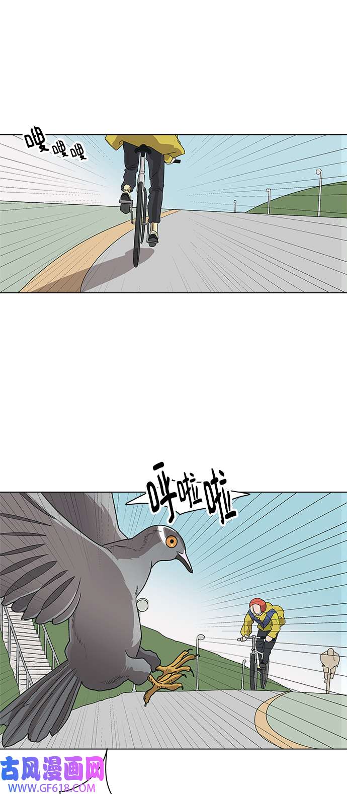 17.jpg