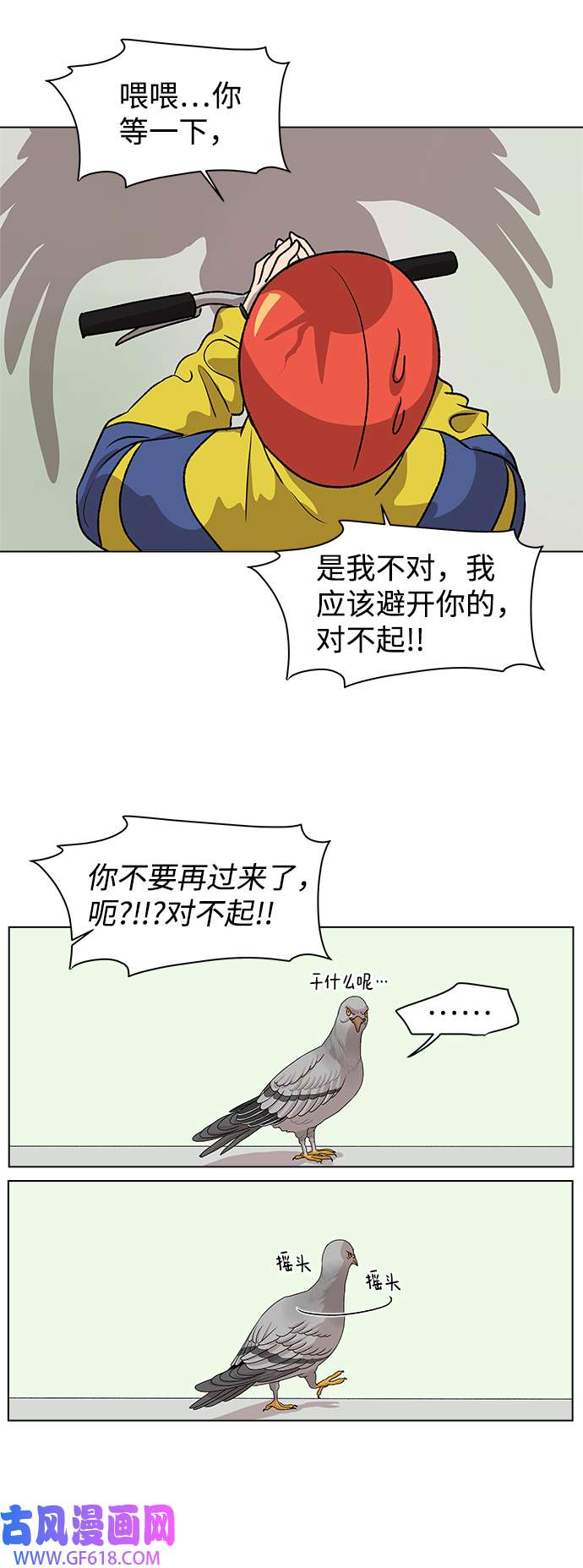 23.jpg