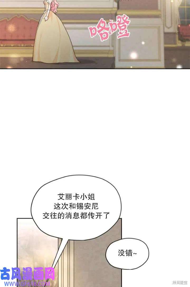 48.jpg
