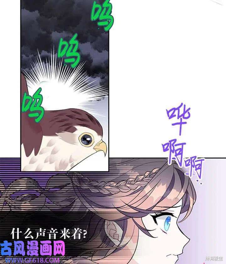 46.jpg