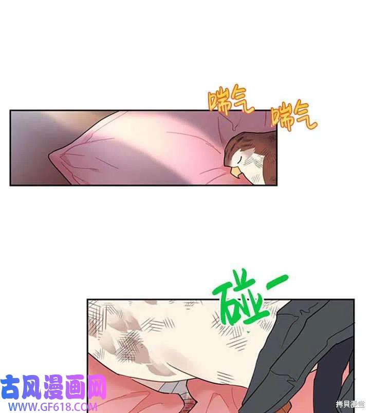 43.jpg
