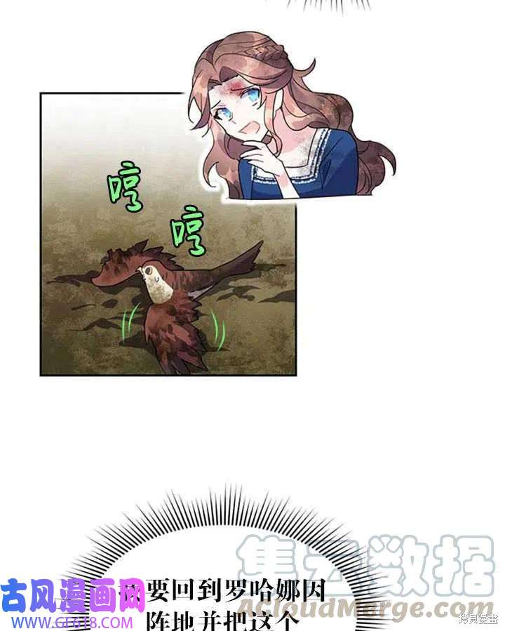 13.jpg