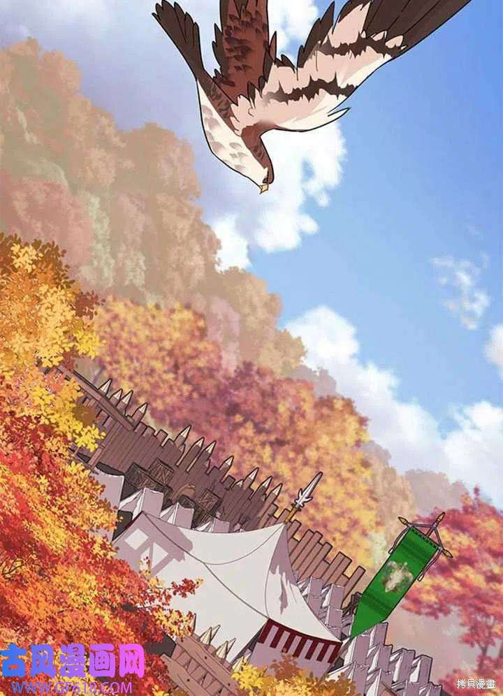48.jpg
