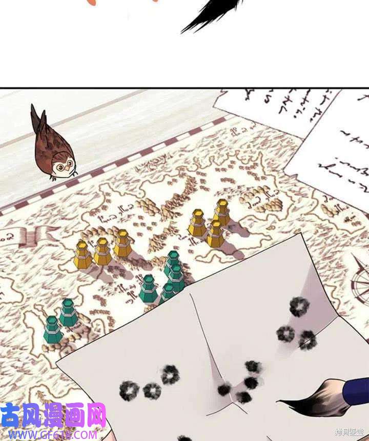 47.jpg