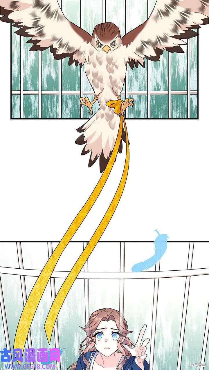 38.jpg