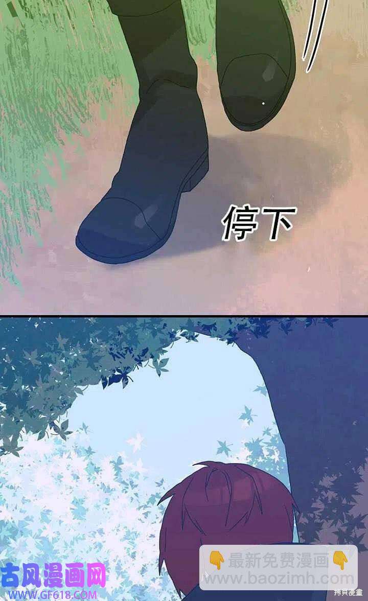 41.jpg