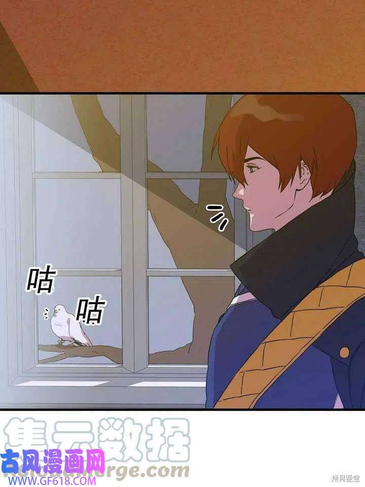 40.jpg