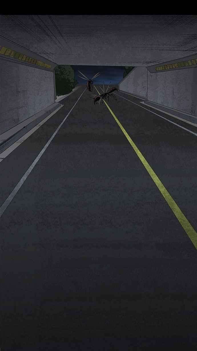 79.jpg