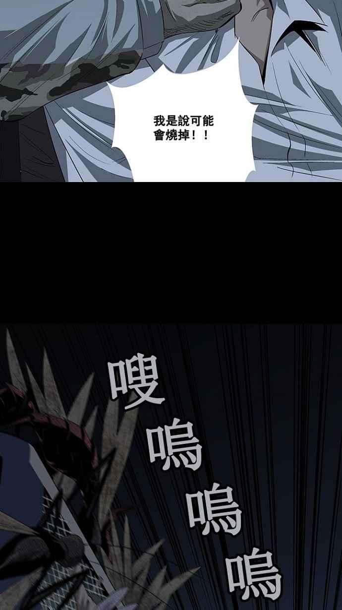 62.jpg