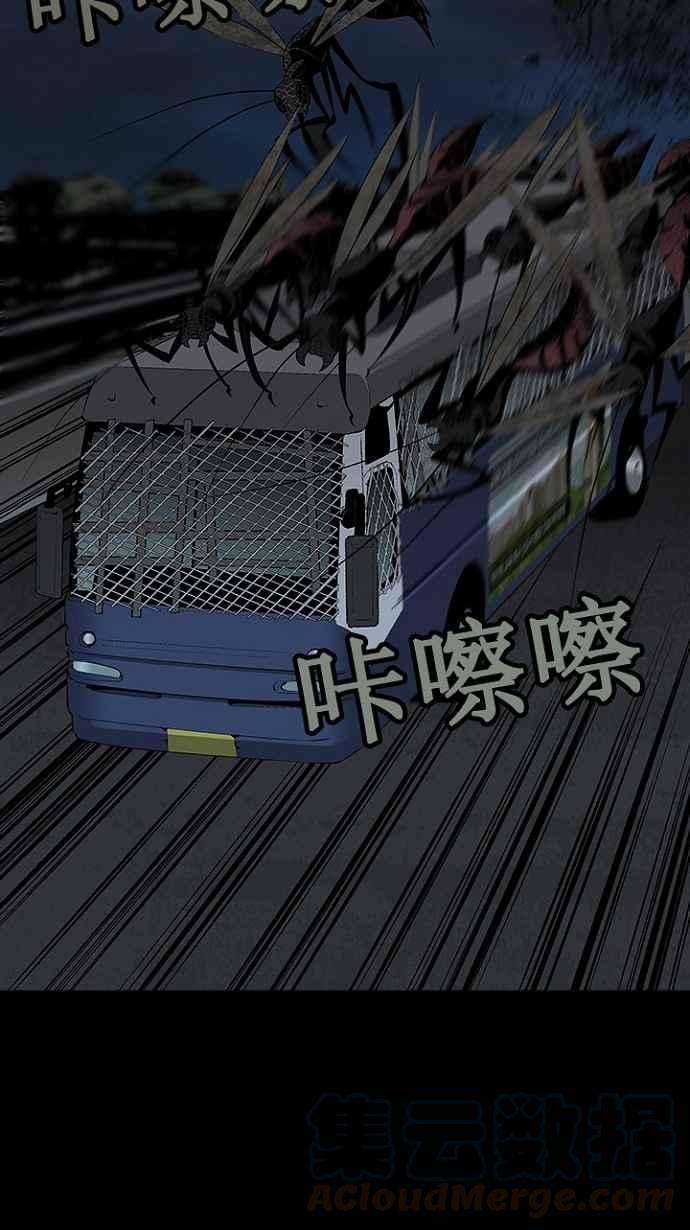 73.jpg