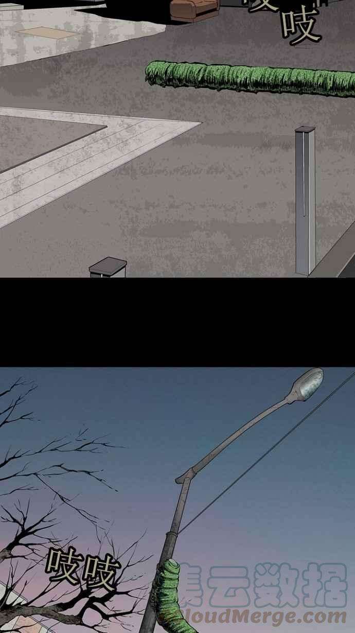 49.jpg