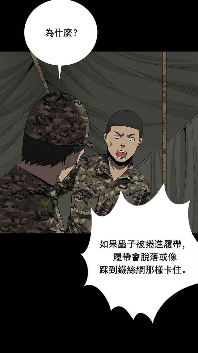 54.jpg