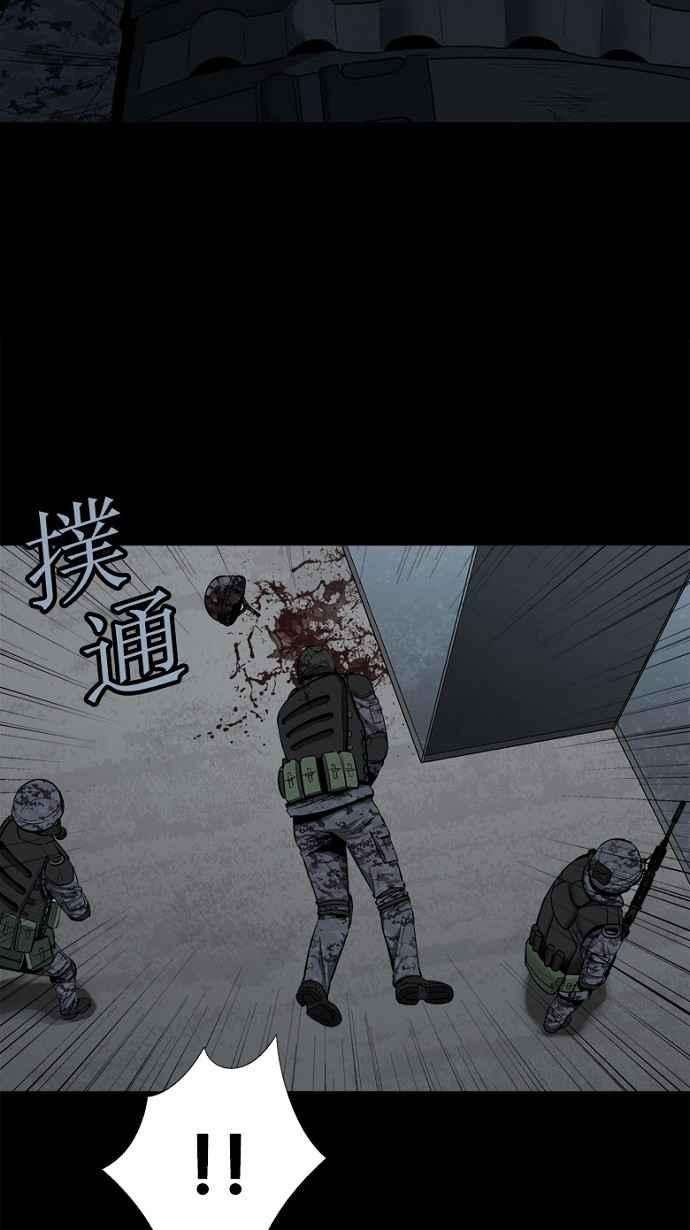 51.jpg
