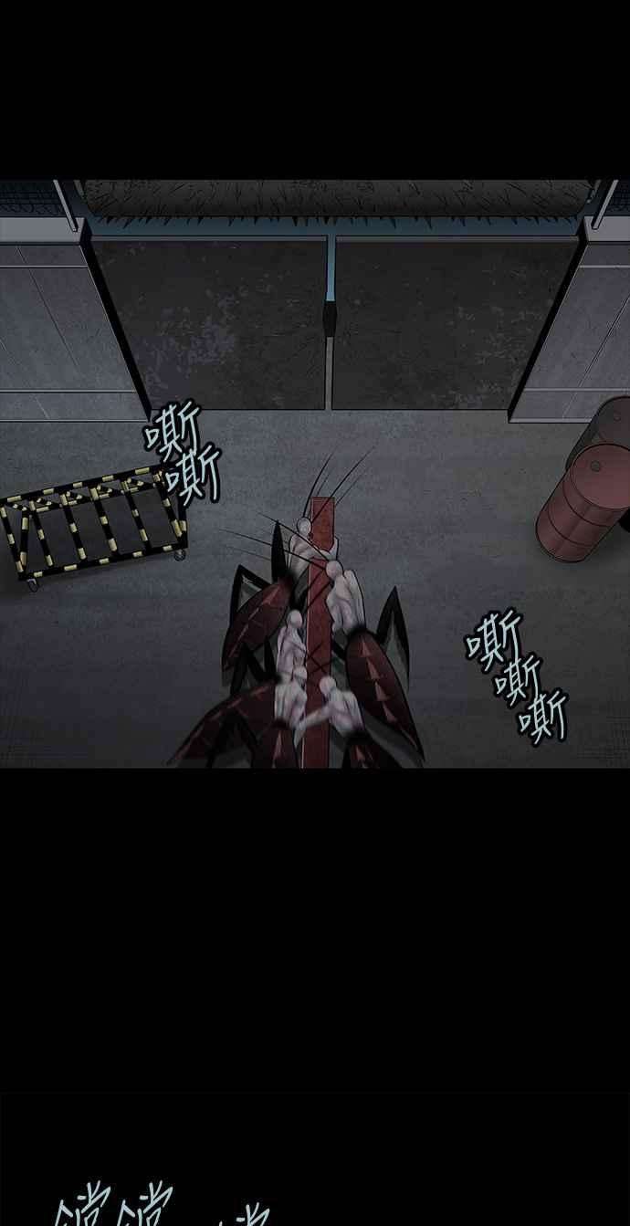 62.jpg