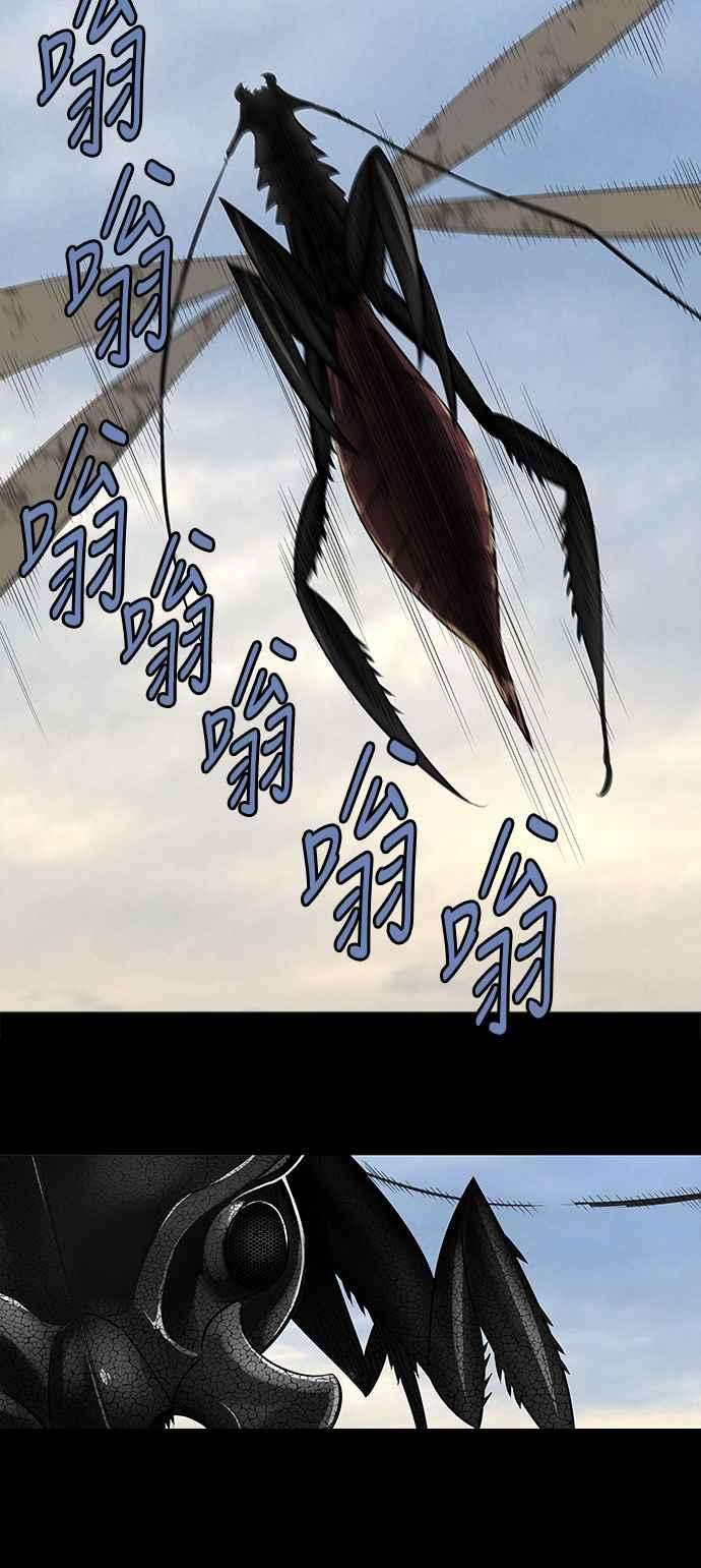 24.jpg