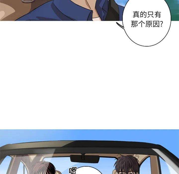 66.jpg