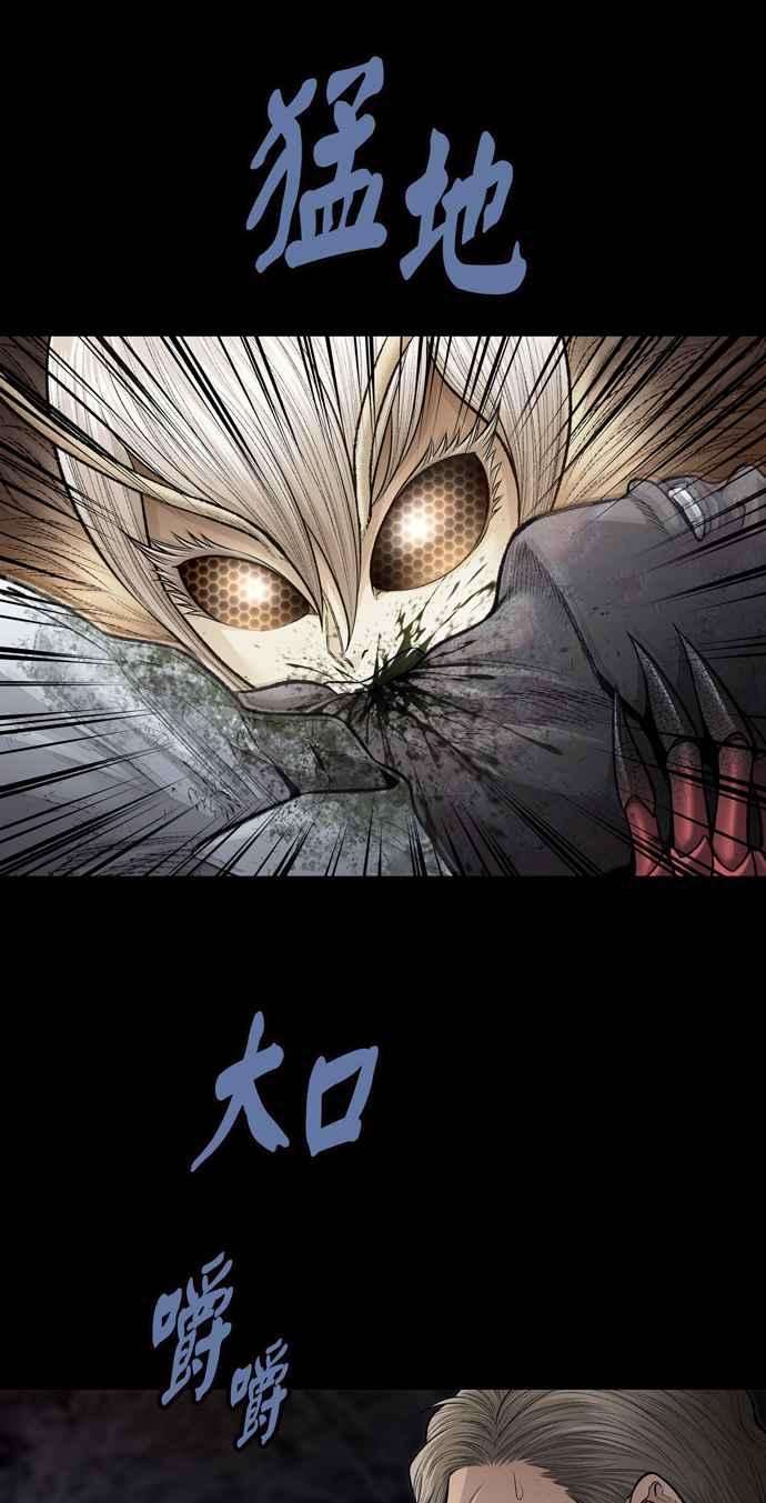 39.jpg