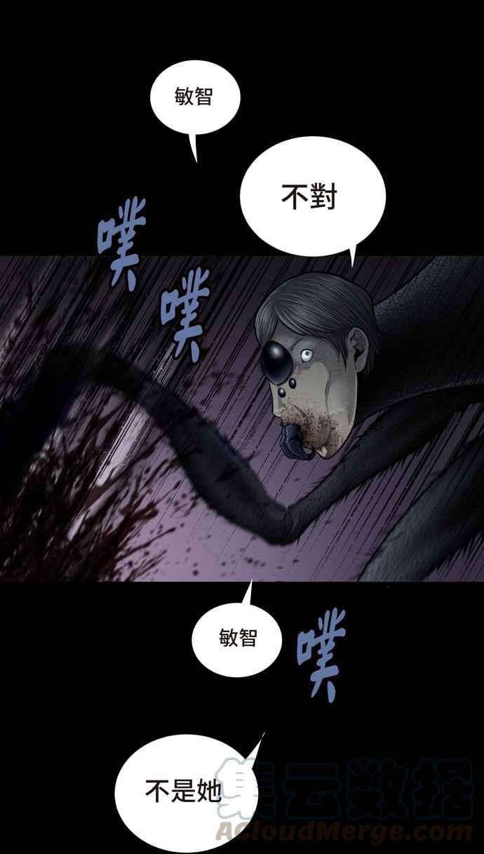 52.jpg