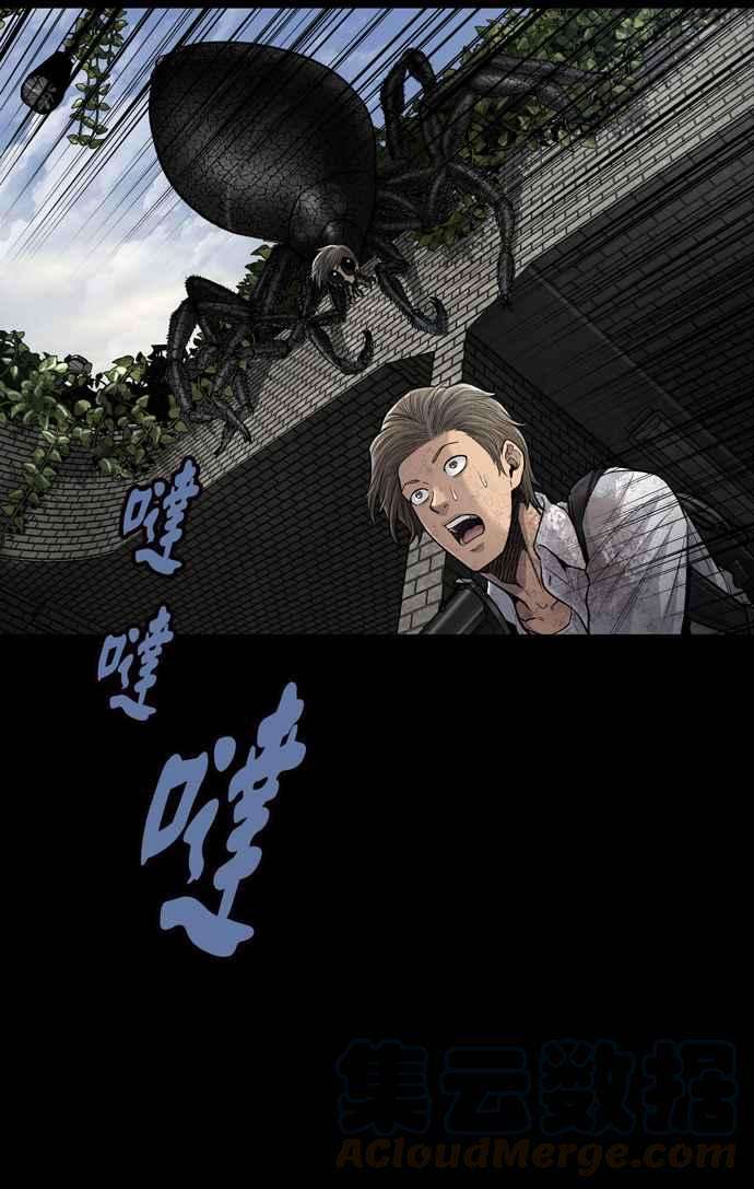 55.jpg