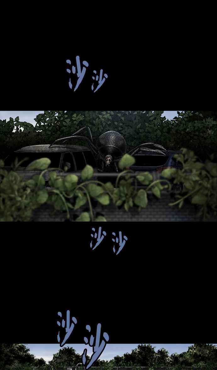 17.jpg