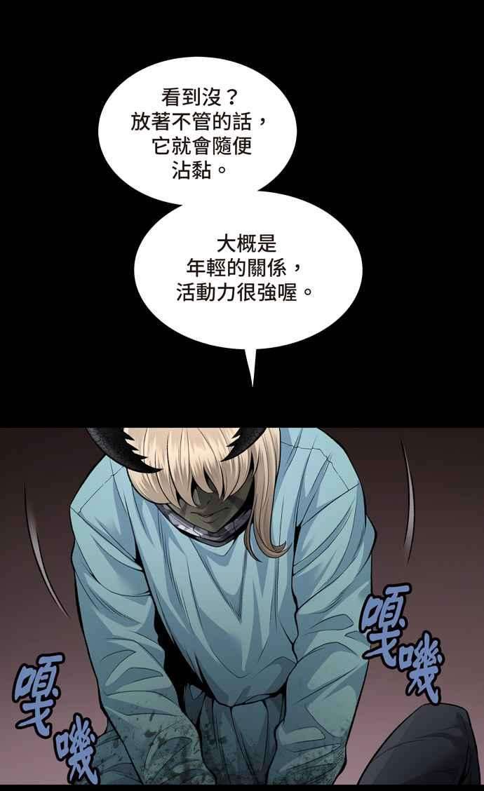 48.jpg