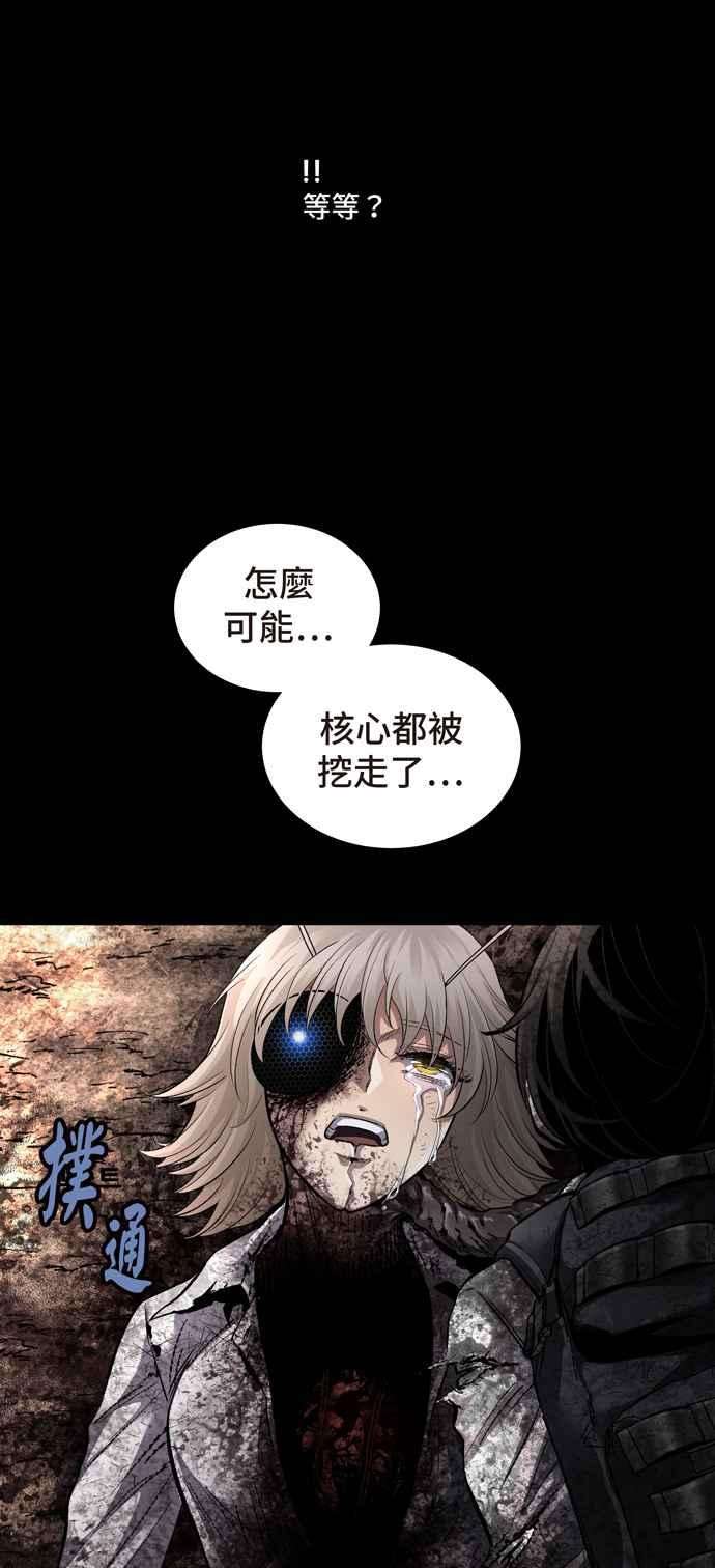 48.jpg