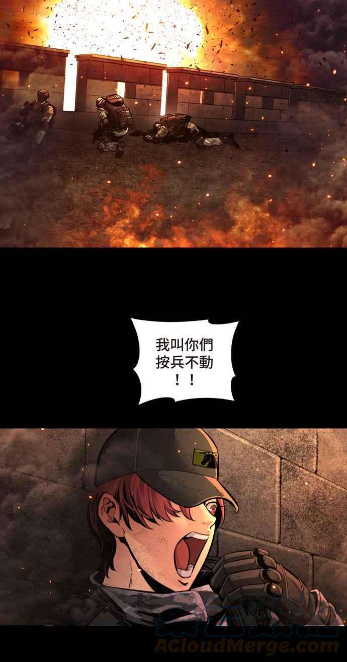 49.jpg