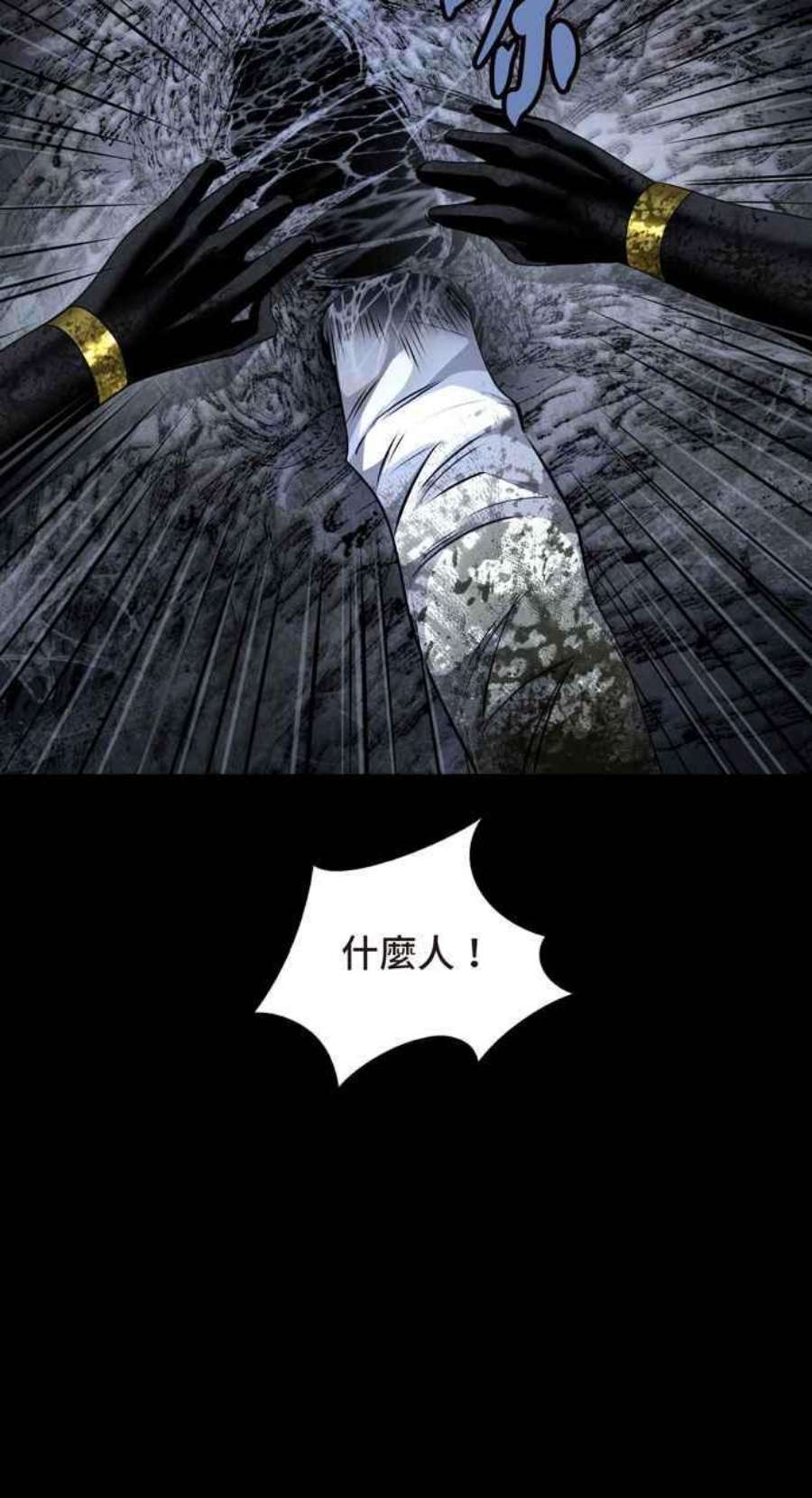 48.jpg