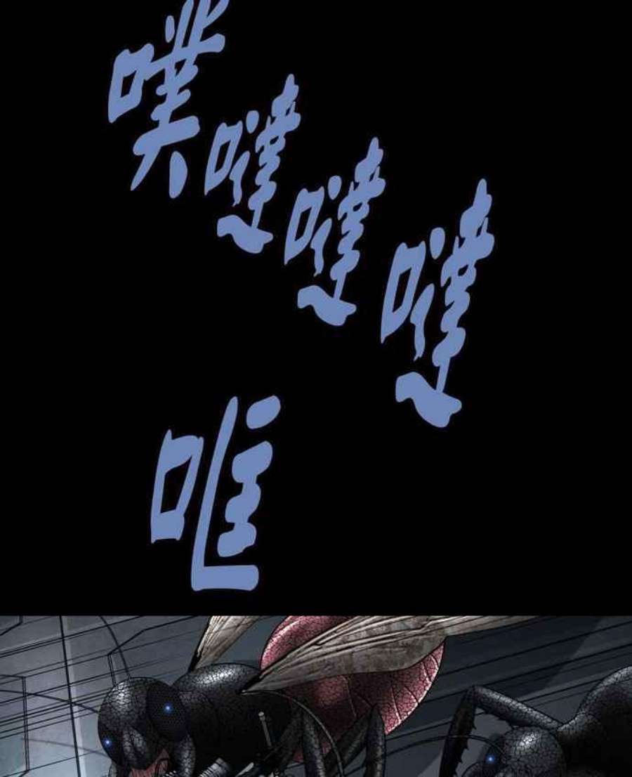 48.jpg