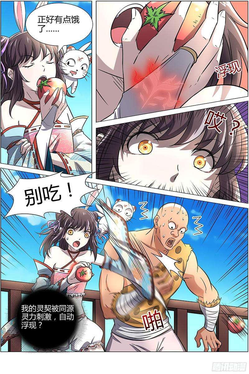 4.jpg