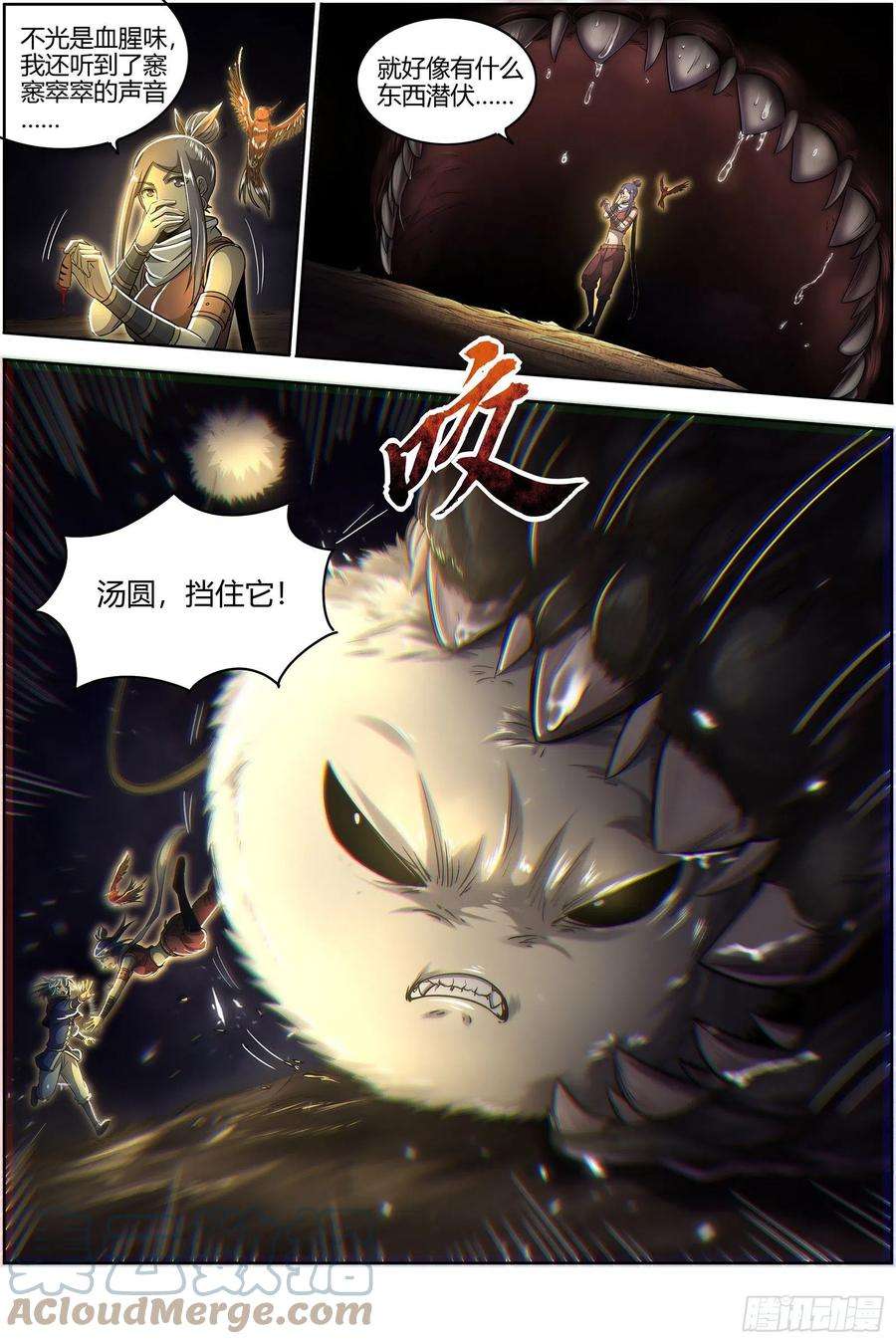 5.jpg