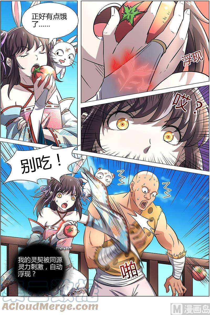 4.jpg