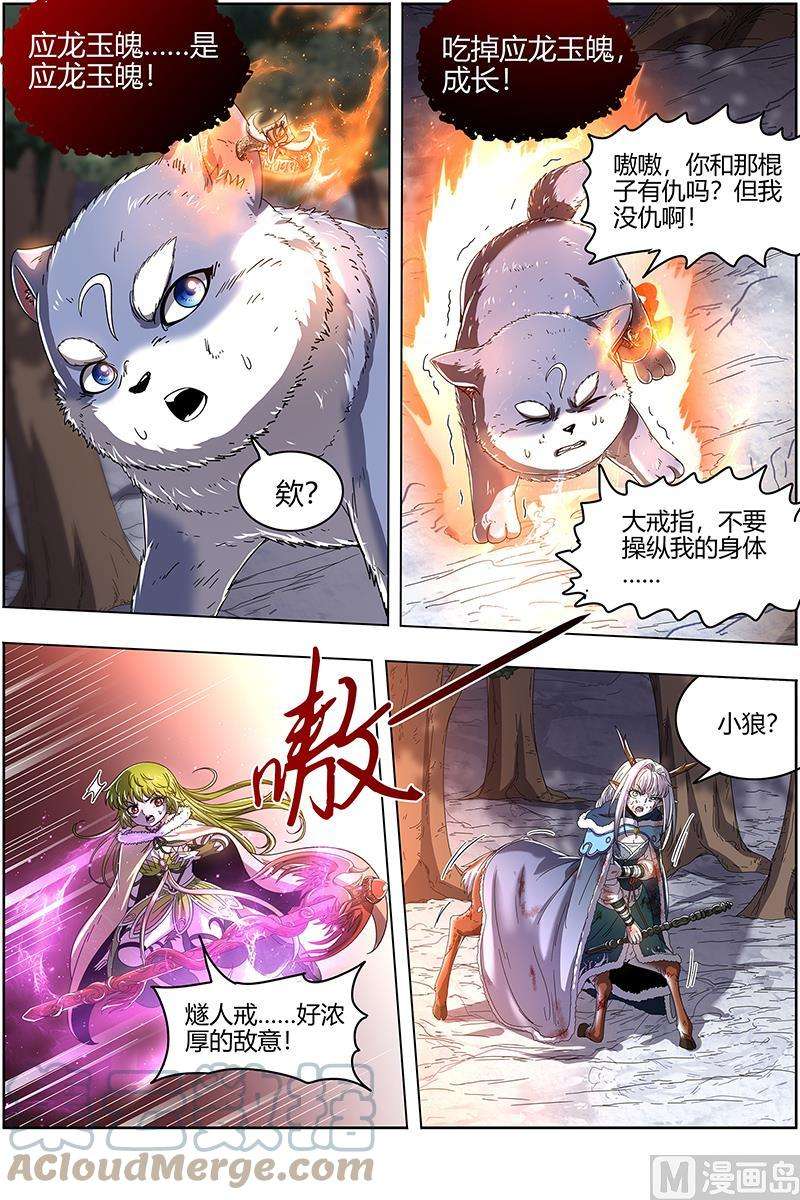 13.jpg