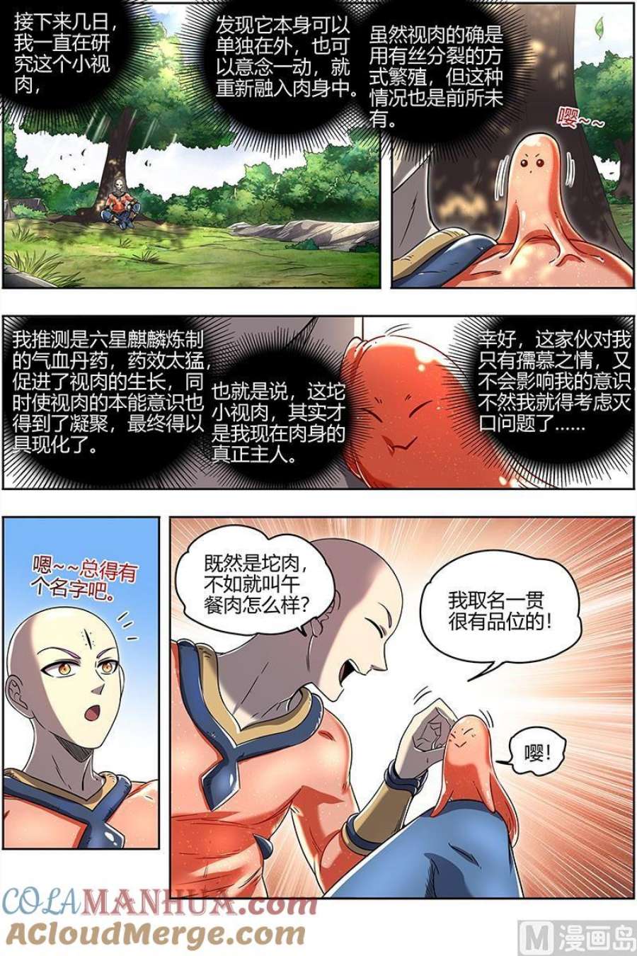 5.jpg