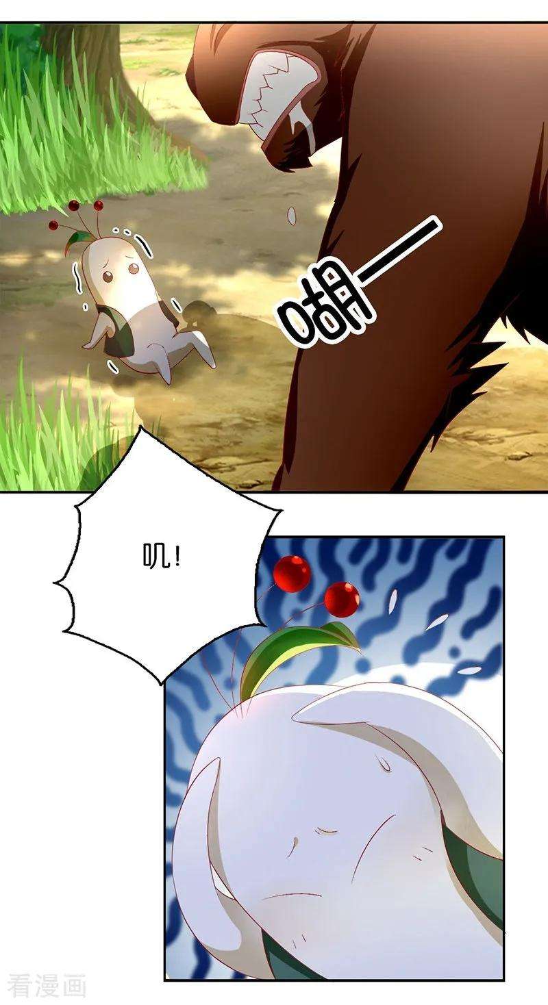 19.jpg