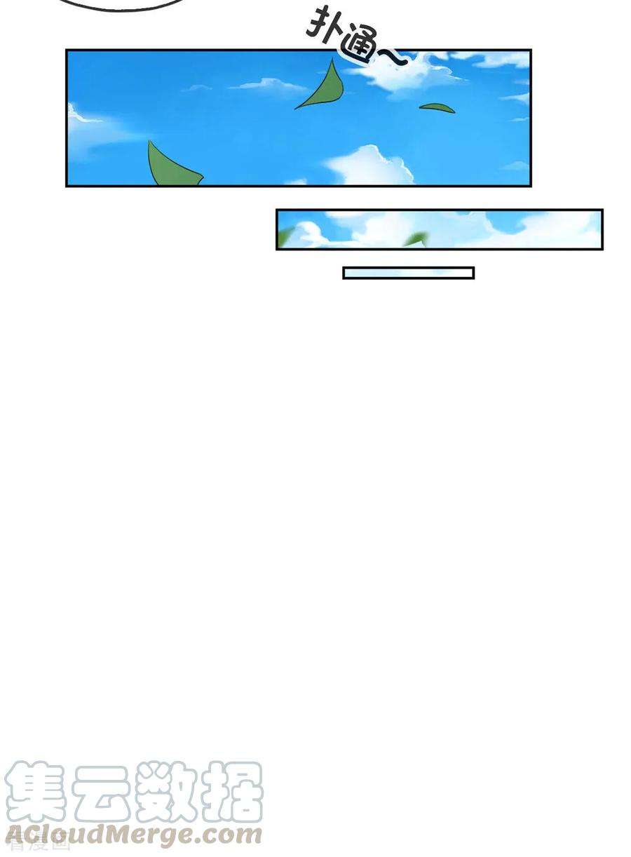 29.jpg
