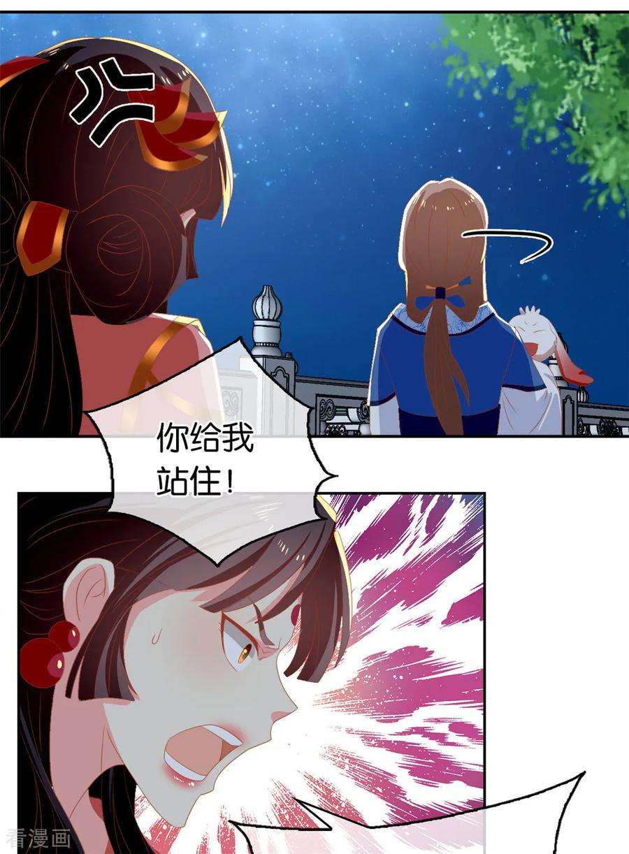 31.jpg