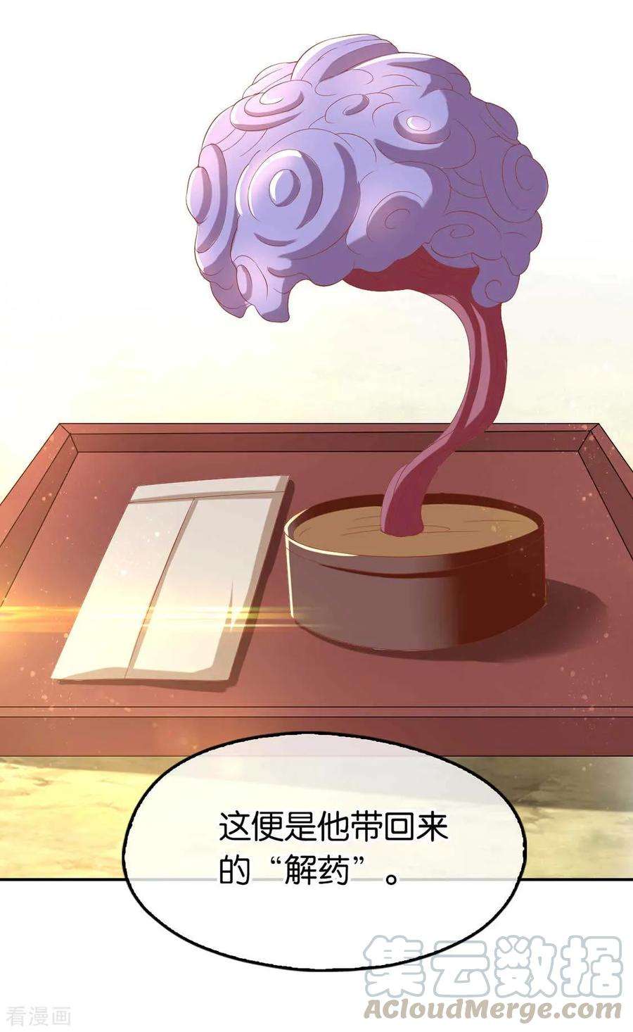 25.jpg