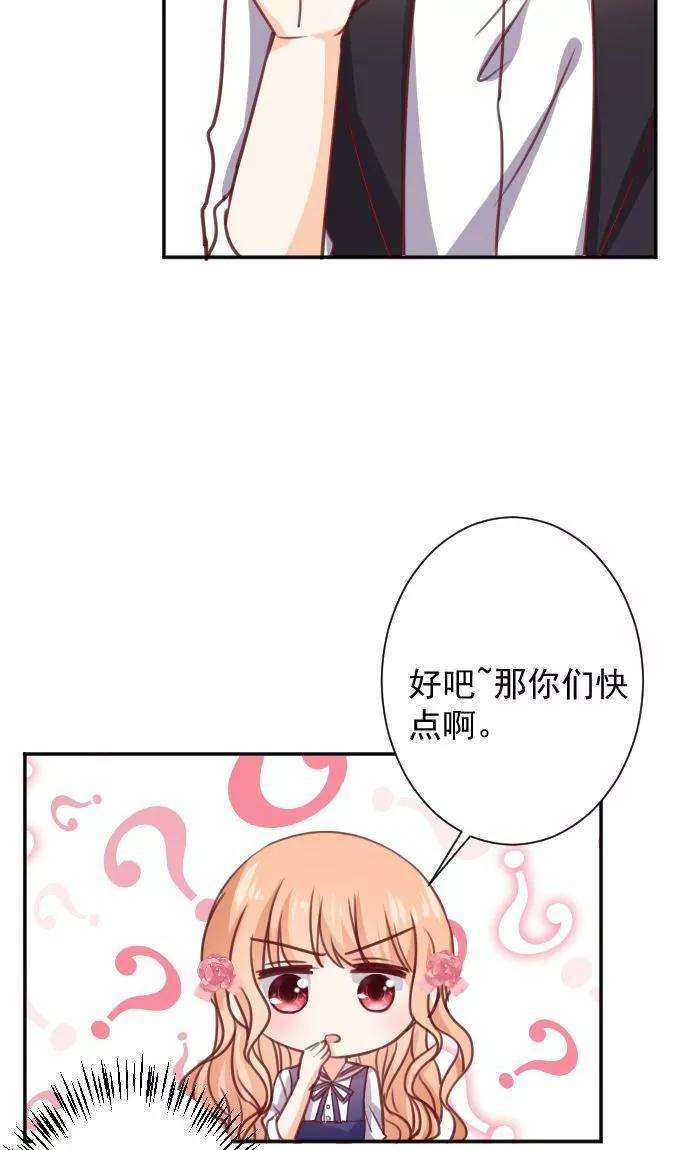 51.jpg