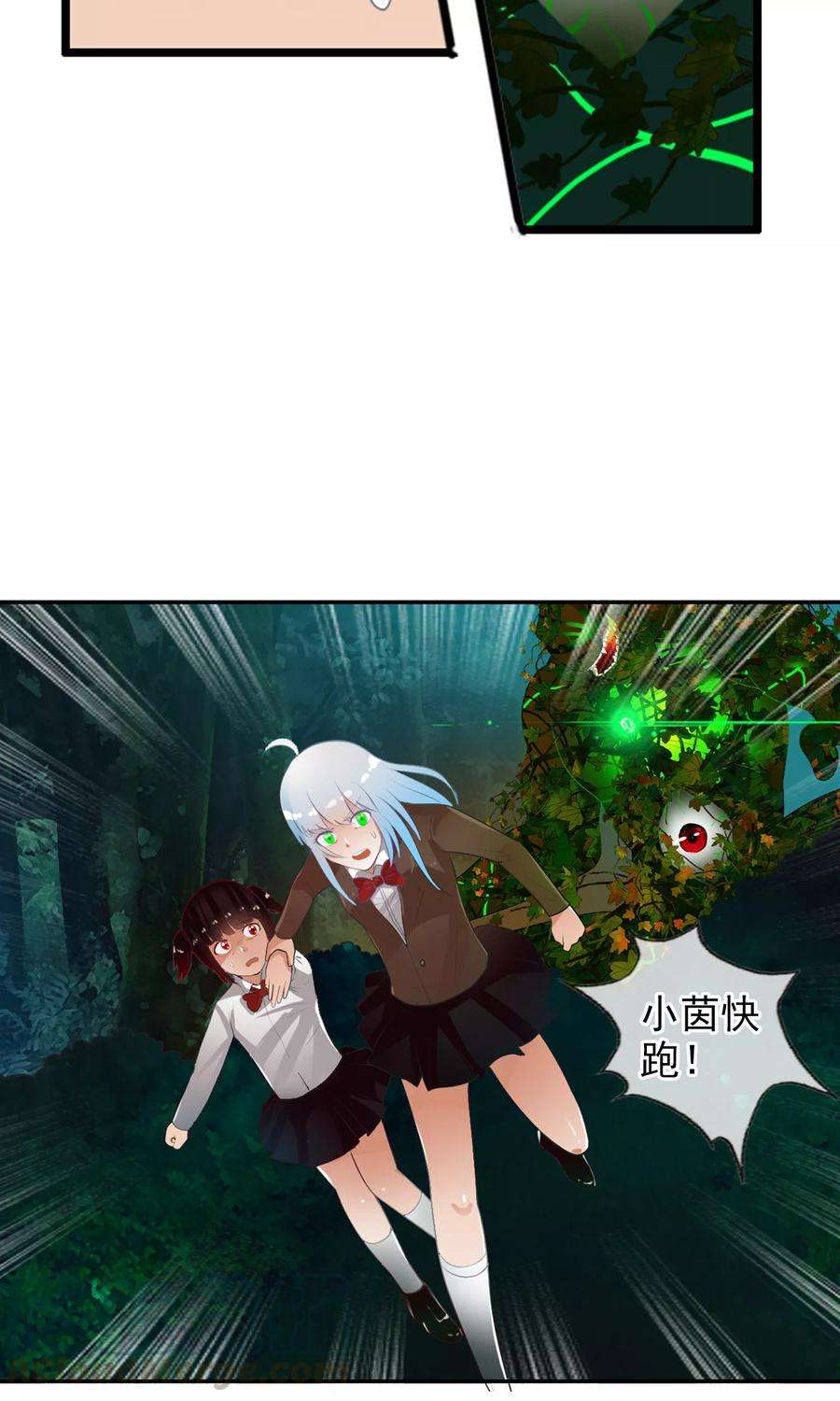 11.jpg