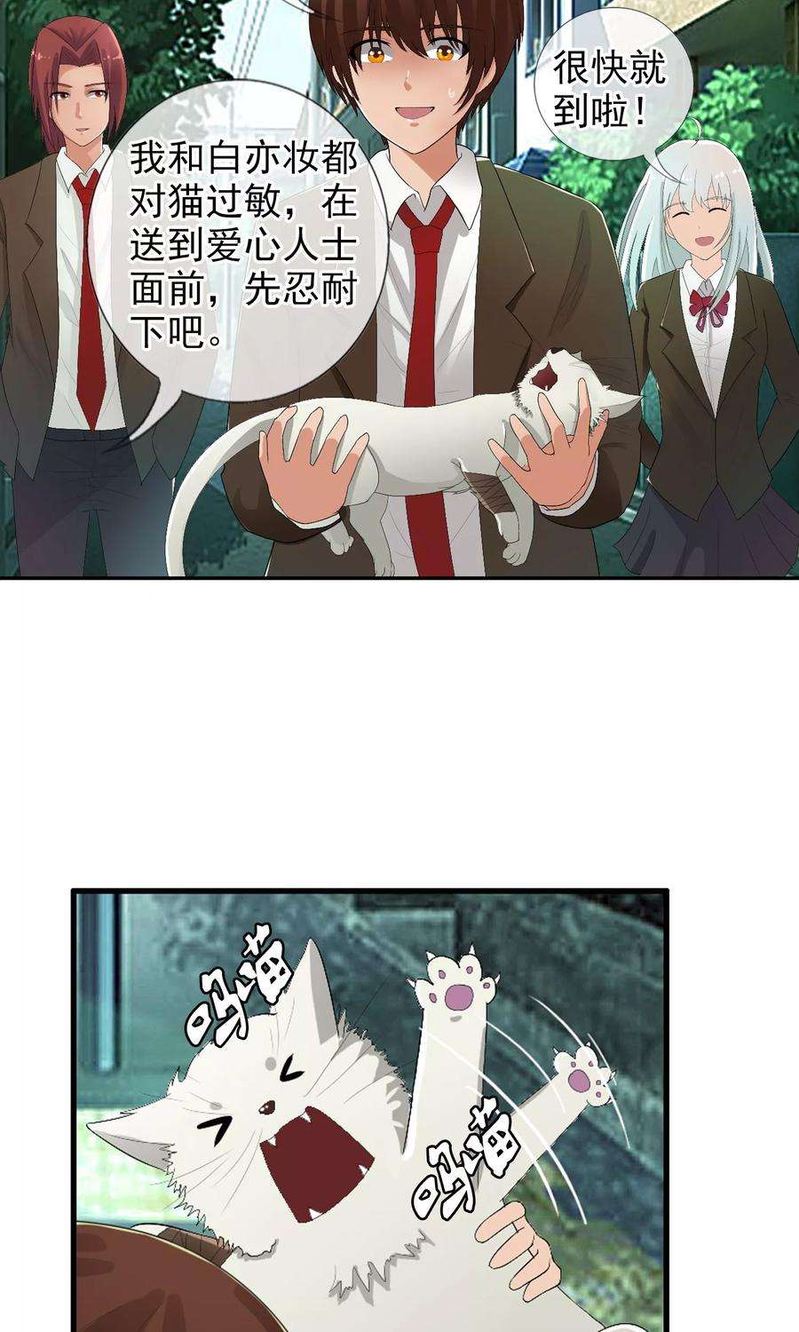 6.jpg