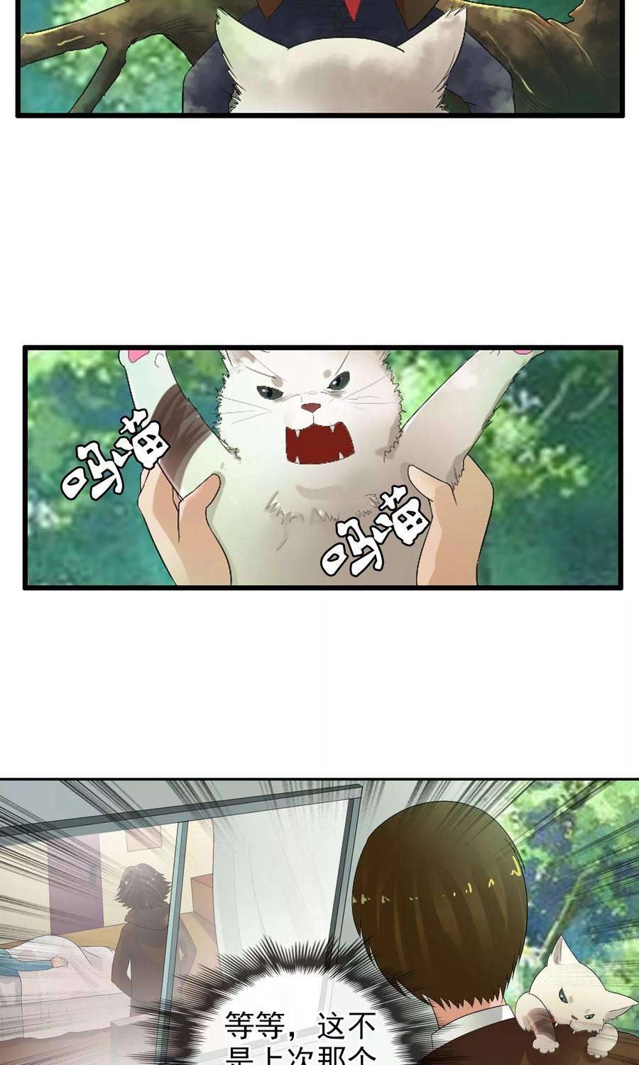 15.jpg