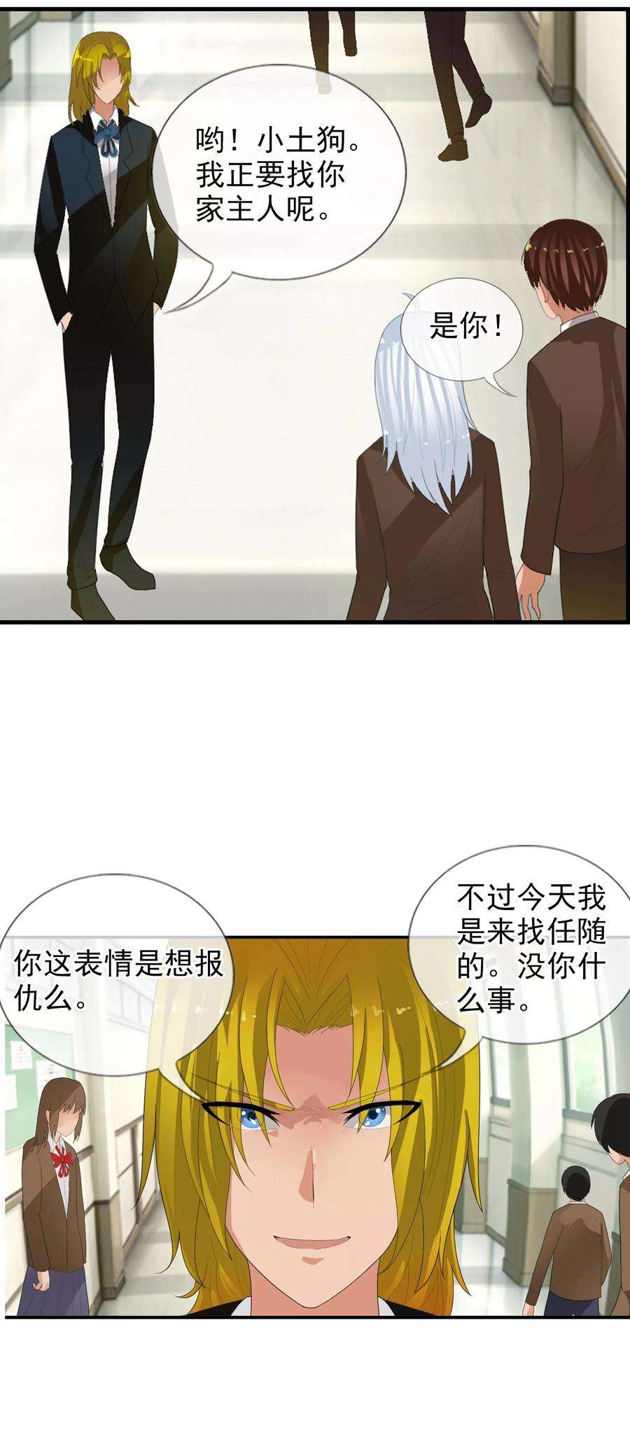 19.jpg