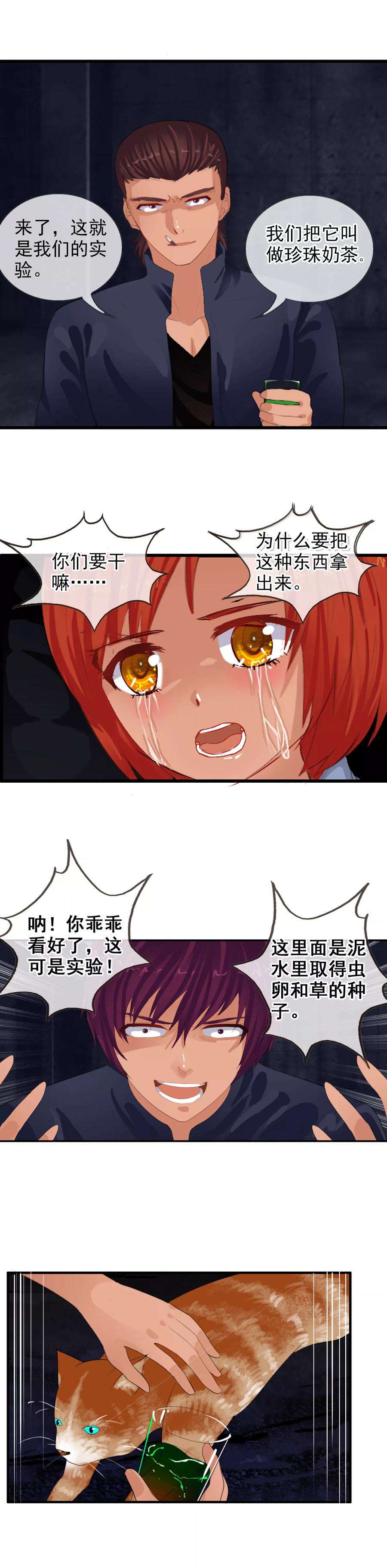 15.jpg