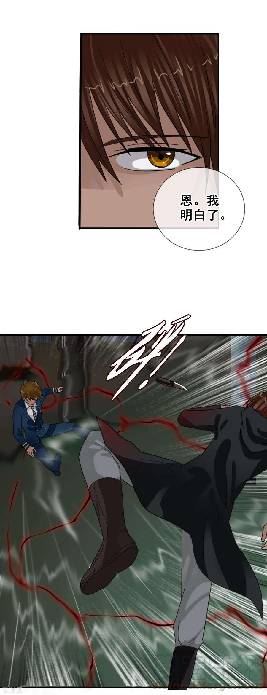 31.jpg