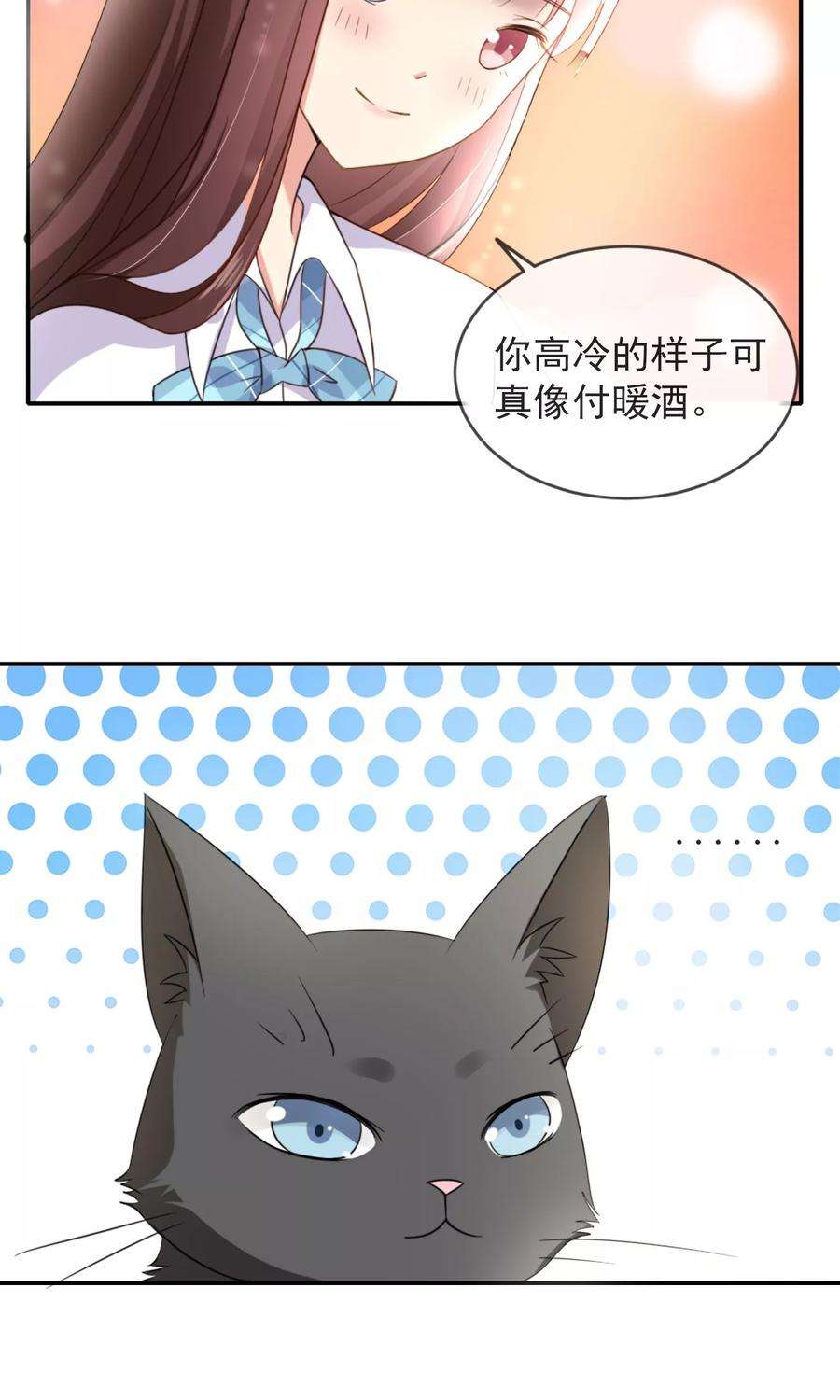 43.jpg